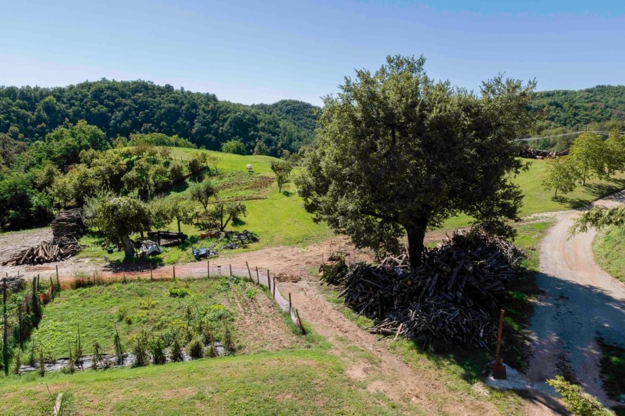 *Appartamento*+WIFI+Free Parking+20 min zocca Tole Buitenkant foto