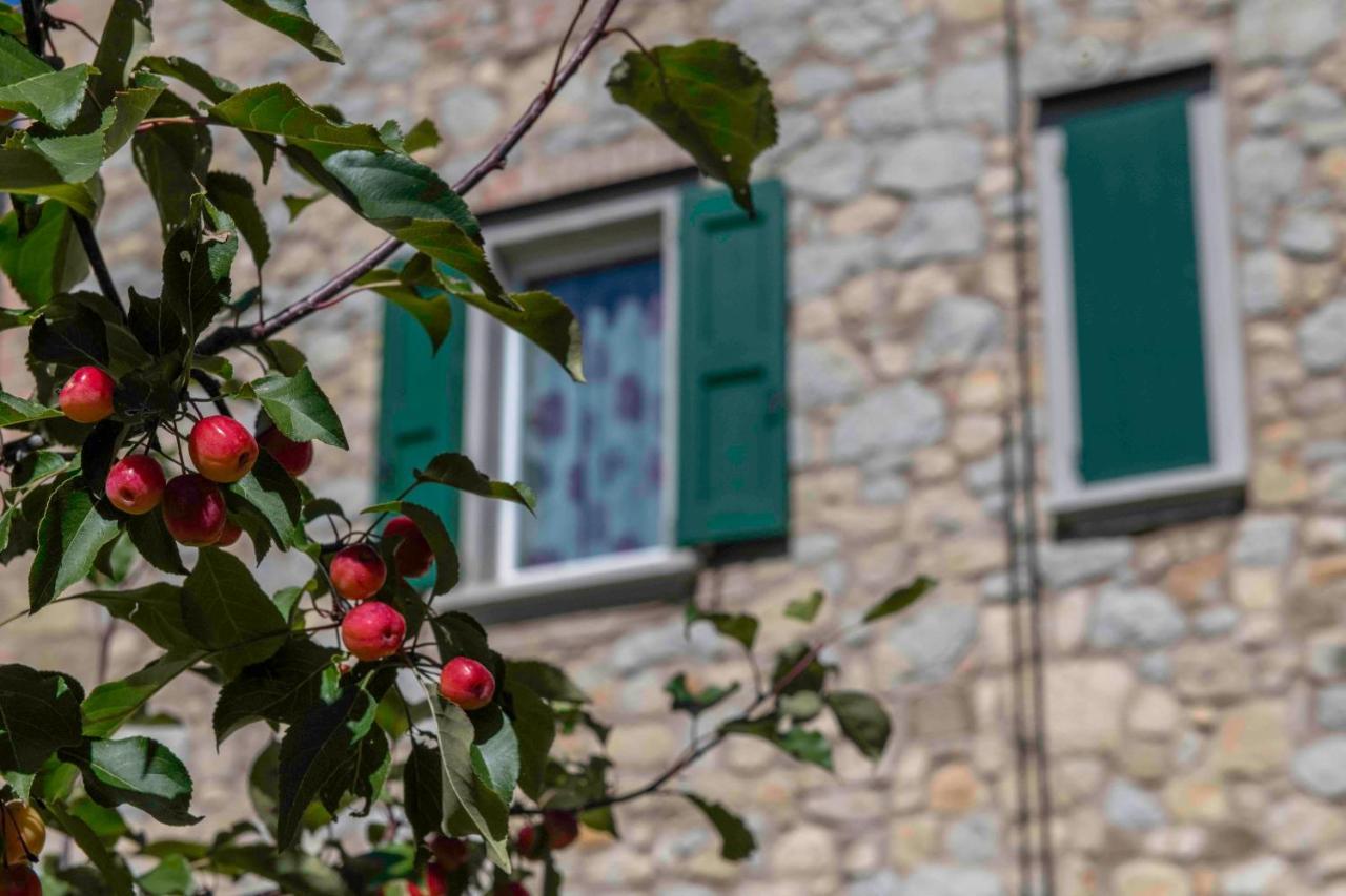 *Appartamento*+WIFI+Free Parking+20 min zocca Tole Buitenkant foto