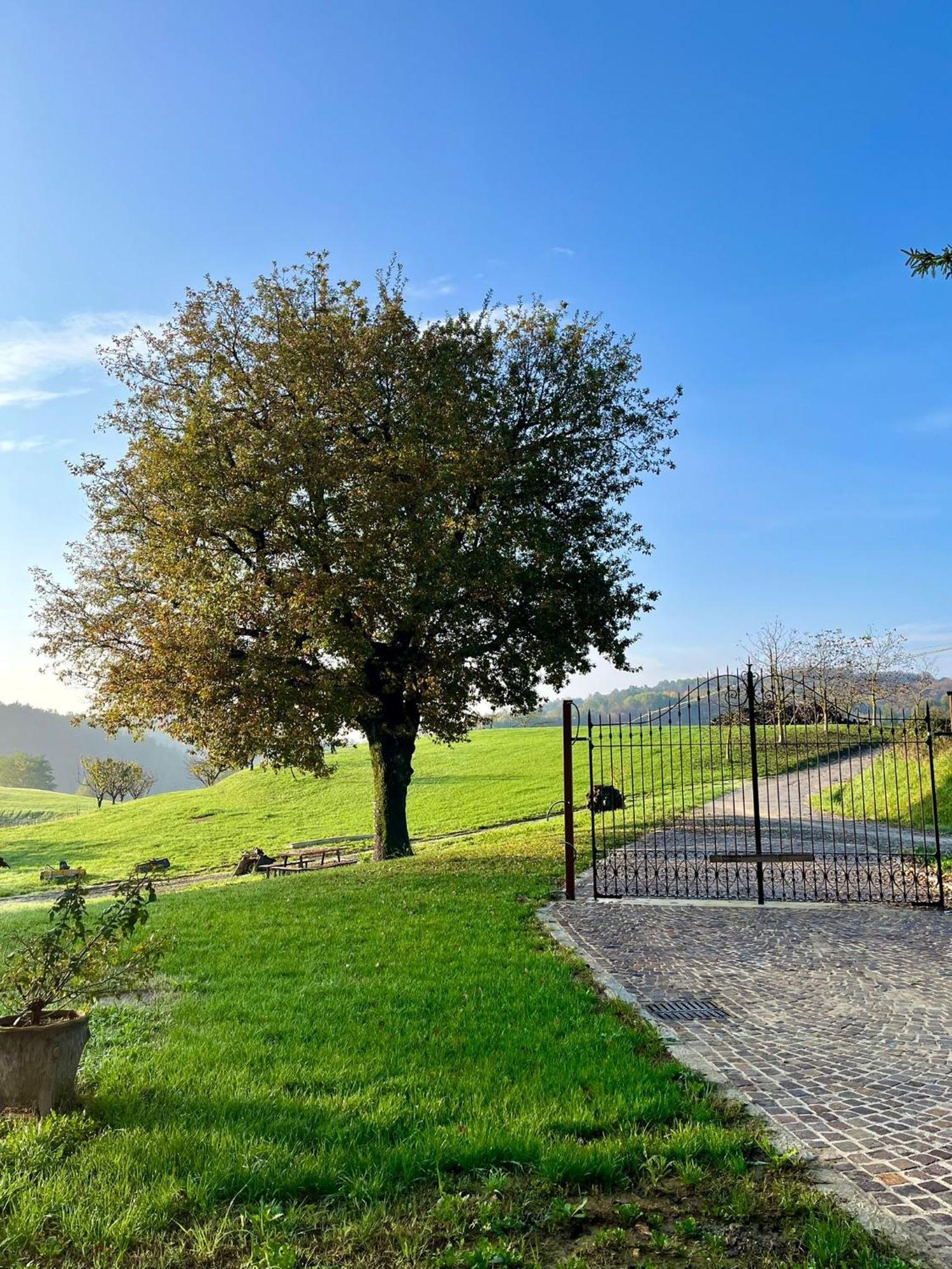 *Appartamento*+WIFI+Free Parking+20 min zocca Tole Buitenkant foto